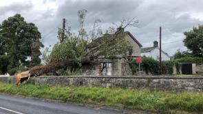 WATCH: 'I could feel the house shaking' — Resident speaks of fear after Storm Ellen hits Limerick