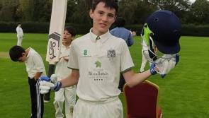 Limerick Cricket Club extend unbeaten run with win over Cork