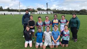 Limerick GAA notes - latest news from 21 different clubs