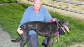 Cambridgeshire Open ready to do the distance once again in Limerick Greyhound Stadium