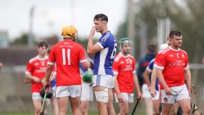 SLIDESHOW: Kildimo-Pallaskenry beat Bruff in Limerick Premier IHC