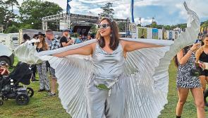 Working a festival? It's a Picnic, writes Limerick journalist