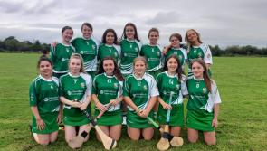 Limerick GAA notes - latest news from 22 different clubs