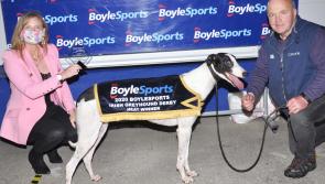 Irish Greyhound Derby Consolation final success for Limerick trainer with Razldazl Peaky