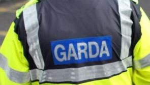 Two men to appear before Limerick District Court in connection with €100,000 drugs seizure