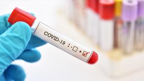 Over 50% Covid positivity rate recorded this week, latest data reveals