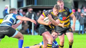 Limerick rugby clubs chase precious Energia Community Series wins