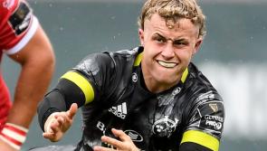 Two Munster players released back from Ireland squad