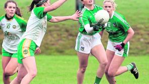 Limerick begin All-Ireland Ladies Football Championship against Derry