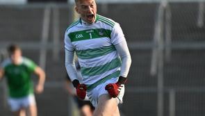 SLIDESHOW: Resilient Limerick celebrate Allianz Football League promotion