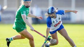 Limerick lose out to Waterford in All-Ireland senior camogie championship