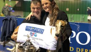 Historic English Derby Greyhound title victory for Limerick trainer Pat Buckley