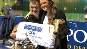 Limerick trainer Pat Buckley bids for more history in English Greyhound Derby final