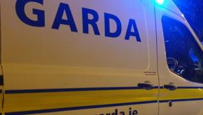 Gardaí in urgent appeal for witnesses as man dies in fatal road crash