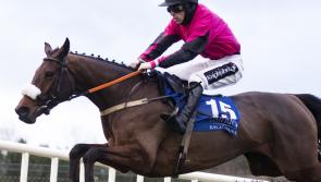 It's double delight for Athea racehorse trainer at Limerick