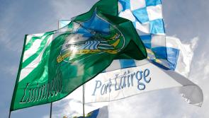 Ireland's Ambassador to the USA hosts online Limerick v Waterford All-Ireland preview