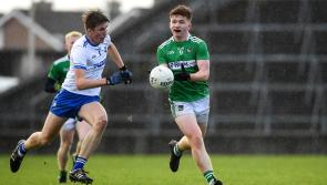 Impressive Limerick power past Waterford into Munster minor football semi final