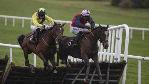 Limerick jockeys Conor McNamara and Billy Lee in top form