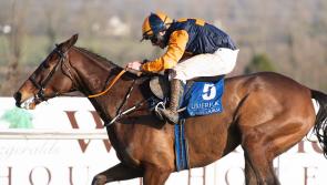 Christmas Racing Festival continues at Limerick Racecourse