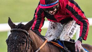 Limerick stages final day of Christmas racing festival