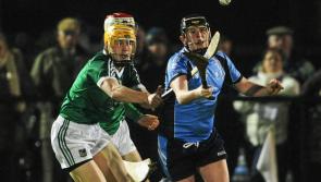 SLIDESHOW: On this day in 2014: Limerick thump IT Tralee in Waterford Crystal