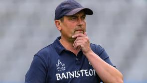 Limerick's new minor and U20 hurling management teams ratified