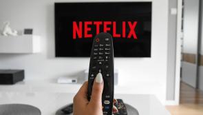 Need a new series to binge? Here's the list of everything new arriving on Netflix this month