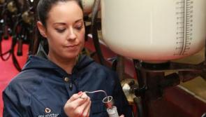 Munster Bovine is hiring in County Limerick!