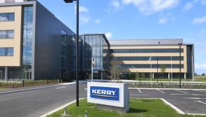 Kerry Group suspends Russian operations while Irish firm Kingspan exits Russia and Belarus