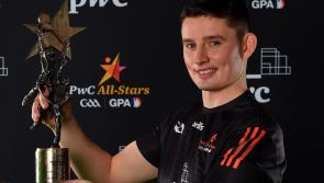 Limerick's Gearóid Hegarty 'hugely honoured' to win Hurler of the Year'