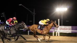 Abbeyfeale's Paddy Harnett boots home Dundalk winner