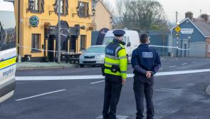 Man arrested in Limerick in connection with Clare double shooting