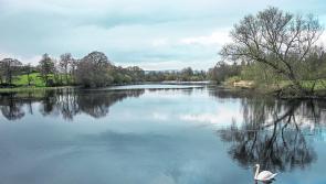 Public consultations on proposed Limerick to Clare Greenway to be held this month 