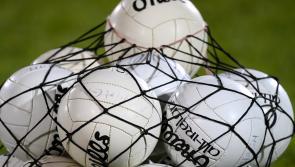 Limerick Ladies Gaelic football launch new website