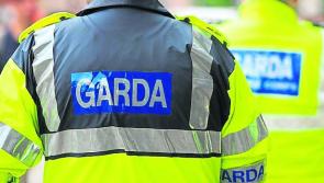 Five people arrested in relation to discovery of drugs worth over €600,000