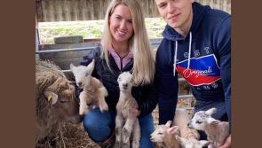 It&rsquo;s &lsquo;Eweureka!&rsquo; Quintuplet lambs on Limerick farm