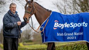 JP McManus' Midlands National winner among entries for Irish Grand National