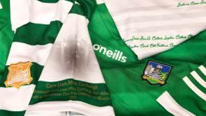 Limerick GAA notes - latest news from 19 different clubs