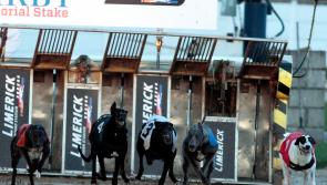 Thrilling second round action at Con and Ann Kirby Memorial Stake