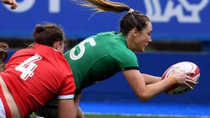 Munster Rugby players to the fore in Ireland's runaway Six Nations success