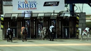 'Boy' turns up heat as 'Leo' upsets odds in Kirby semi-finals in Limerick