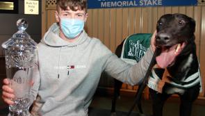 Big Limerick success in Con and Anne Kirby Memorial Stake final