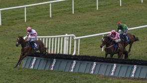 Bumper spell of success for Limerick racing connections