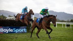 Bumper spell for Limerick racing connections