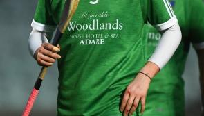 Covid-19 and injury hits panel as Limerick team confirmed for All-Ireland tie with Wexford
