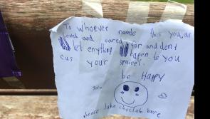Children's act of kindness in Limerick village will brighten your Monday