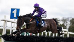Birthday boy Mark Enright among Limerick racing winners