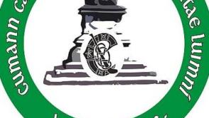 Limerick seniors see off Clare in Munster camogie championship