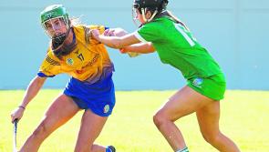 Limerick senior and junior camogie sides in league action