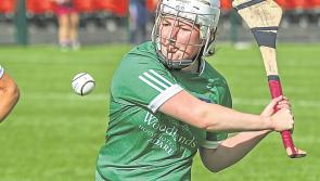 Limerick secure senior camogie status with thrilling championship win over Offaly